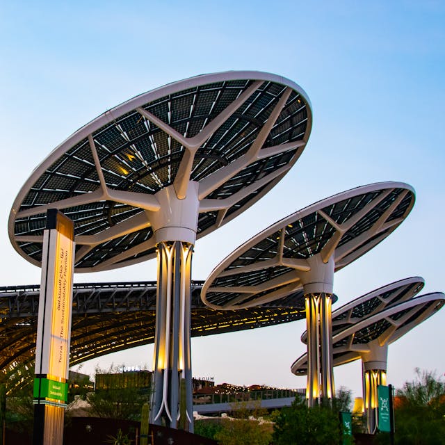 pexels beingsanshots 9808652